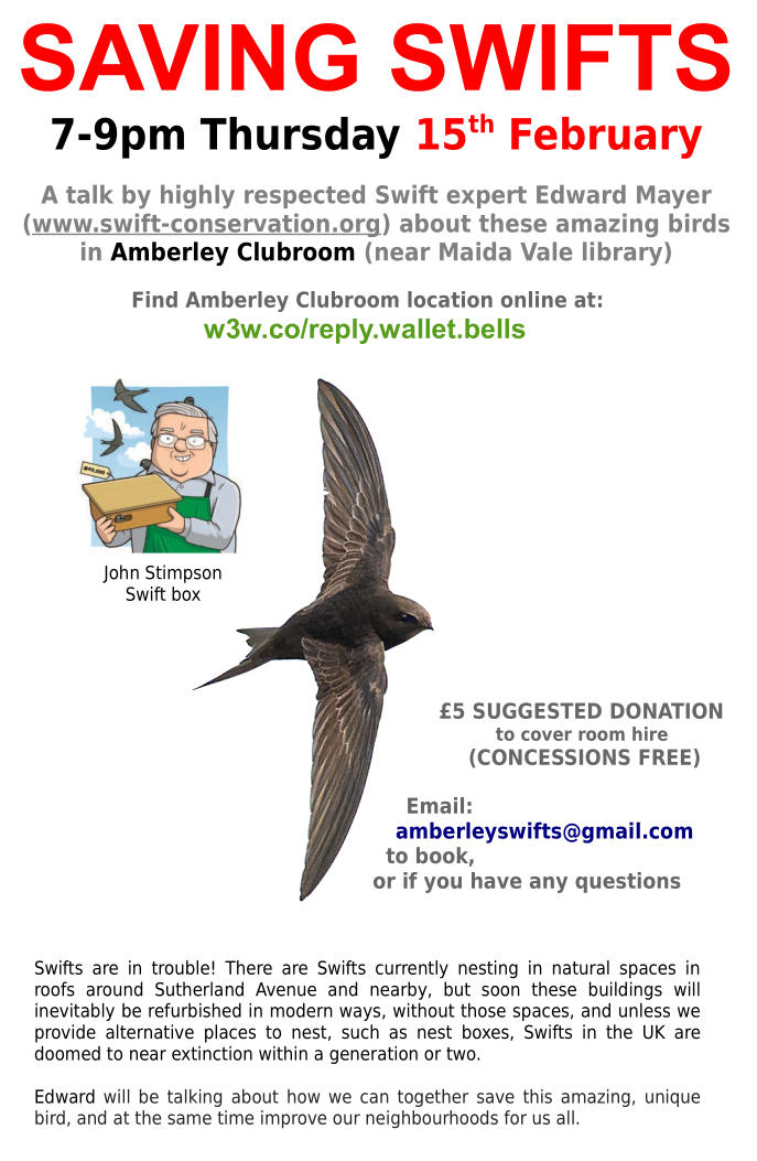 Edward Mayer coming to talk about Swifts and Biodiversity in 2 weeks in Maida Vale. Email amberleyswifts@gmail.com to book. Pass it on! 📦📤 @islingt_swifts @urbanbirder