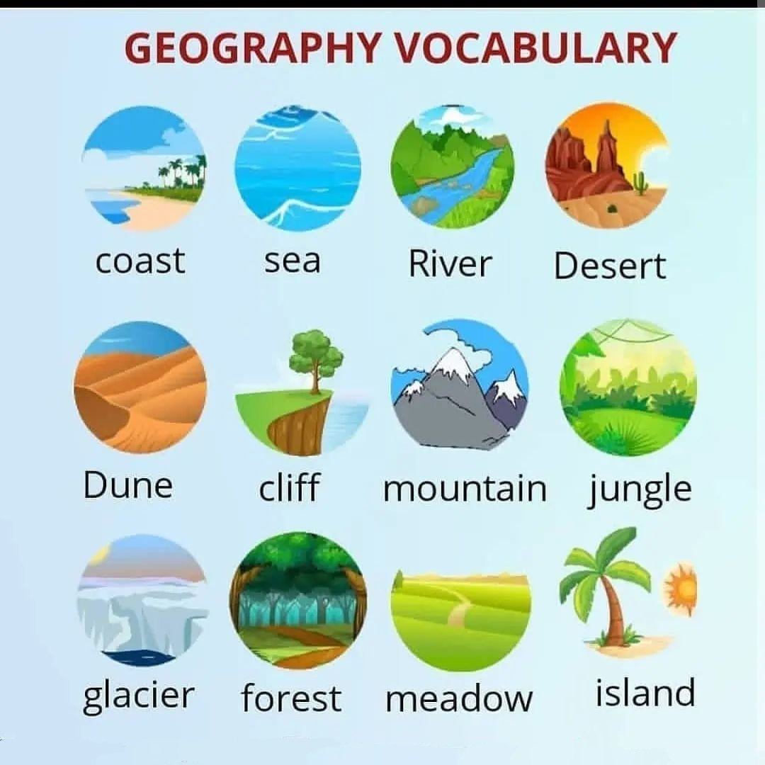 Learn English Grammar tweet media