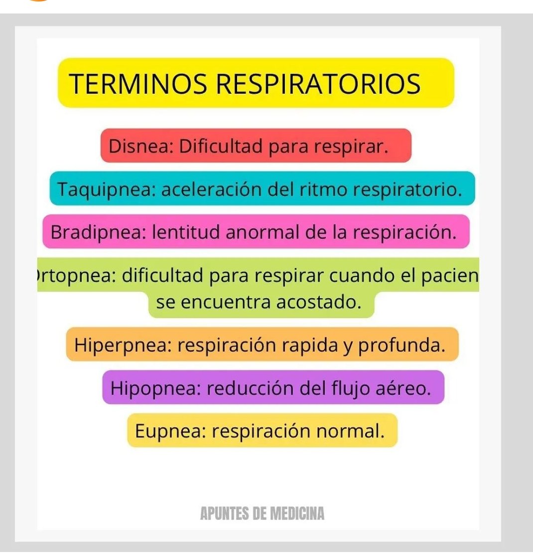 Términos respiratorios
.
Infografía #apuntesdemedicina2019 
.
 .
#terminosrespiratorios #formaciononline #medicina #respiración #formacionsanitaria #cursossanitarios #eupnea #cursomedicina