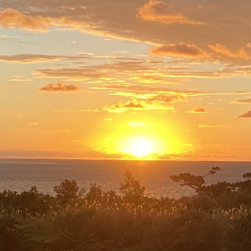 zd_sea_ads's tweet photo. 風が強い！
風が強い！
風が強い！
風が強い！
風が強い！
風が強い！
風が強い！
風が強い！
風が強い！
風が強い！
風が強い！
風が強い！
風が強い！
風が強い！
風が強い！
風が強い！
風が強い！
風が強い！
風が強い！
風が強い！
風が強い！
風が強い！
風が強い！
風が強い！
風が強い！
#犬