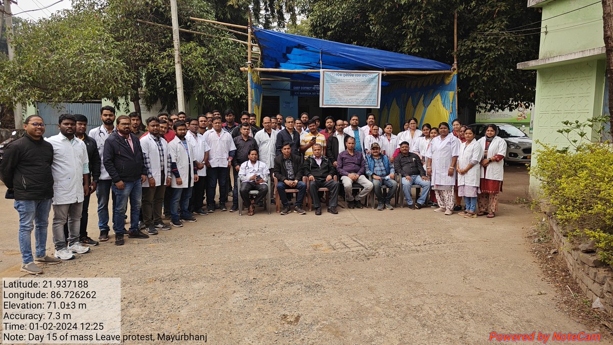 ovsamayurbhanj's tweet photo. Day 15 Mass leave protest of Mayurbhanj Veterinary Doctors 
#OdishaVetsOnProtest #VetsDemandJustice
#JusticeForOVSA
@CMO_Odisha @SecyChief @DM_Mayurbhanj @MoSarkar5T @farddept @dahvsodisha @rajaaswain @ArgusNews_in @otvnews https://t.co/1k3d4PBFsr