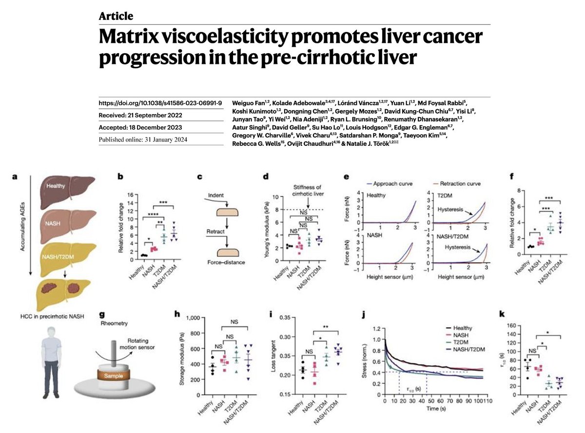 Why liver cancer is developed in people with diabetes and steatosis before cirrhosis?

The reason involves mechanical forces !  This paradigm-shifting paper in <a href="/Nature/">nature</a> reveals a new mechanism: VISCOELASTICITY of the matrix.

rdcu.be/dxrR3 #livertwitter #MedX