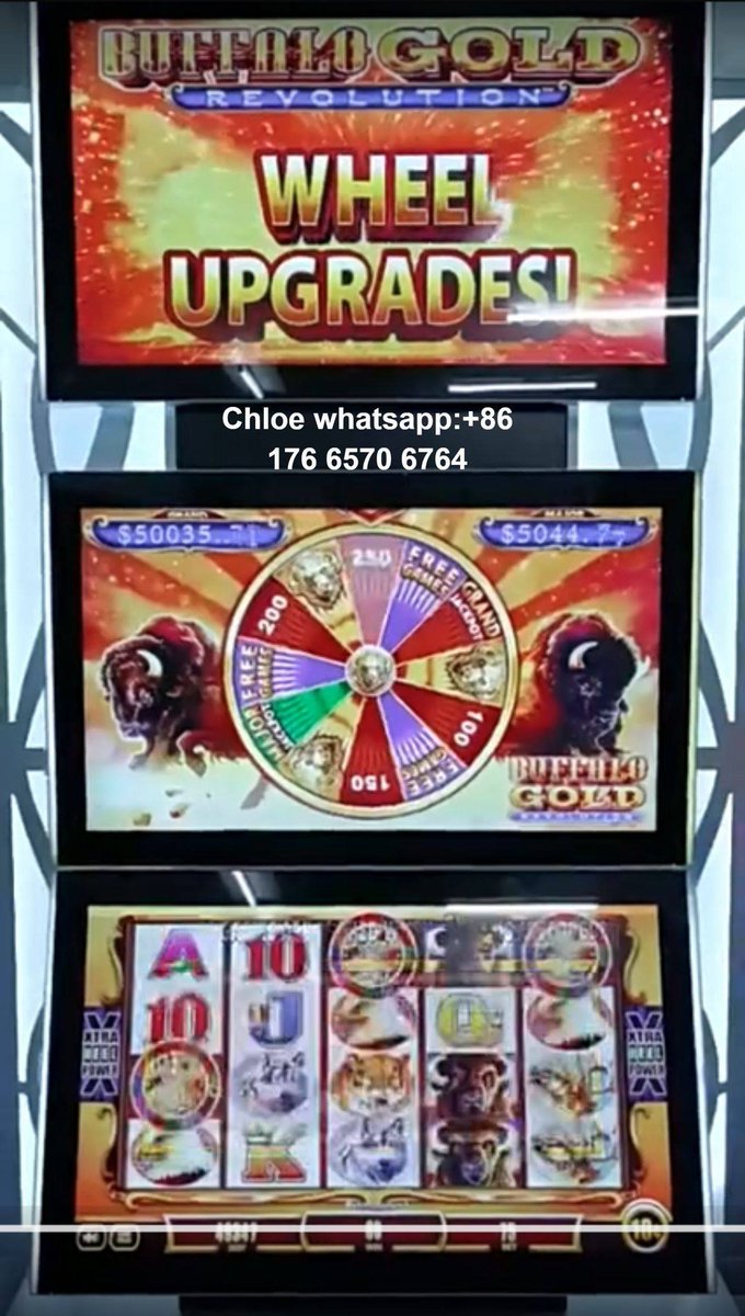 ChloeFan_Game's tweet image. 🦬🦬🦬Buffalo Gold Machine with three 23.6inch monitors;
🦬🦬🦬Buffalo Gold Vertical screen 32inch touchscreen;
more details please PM/Whatsapp:+86 176 6570 6764📲💚
#BUFFALOGOLD #BUFFALOGAME #CASINOGAME
