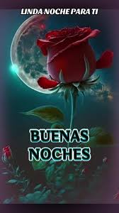 SamuelS77868217's tweet photo. #DanielNoboa https://t.co/5oeSjgBCyf