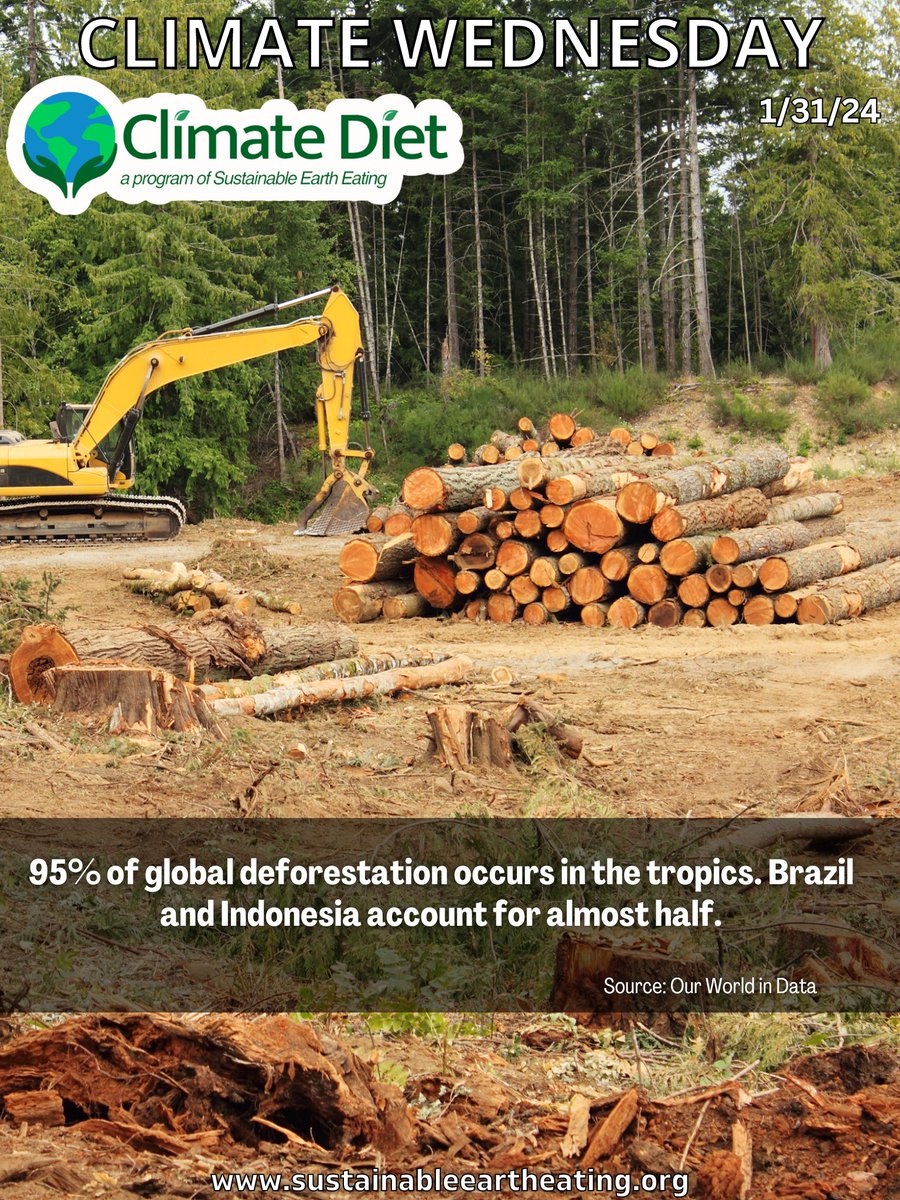 SEE- SustainableEarthEating tweet media