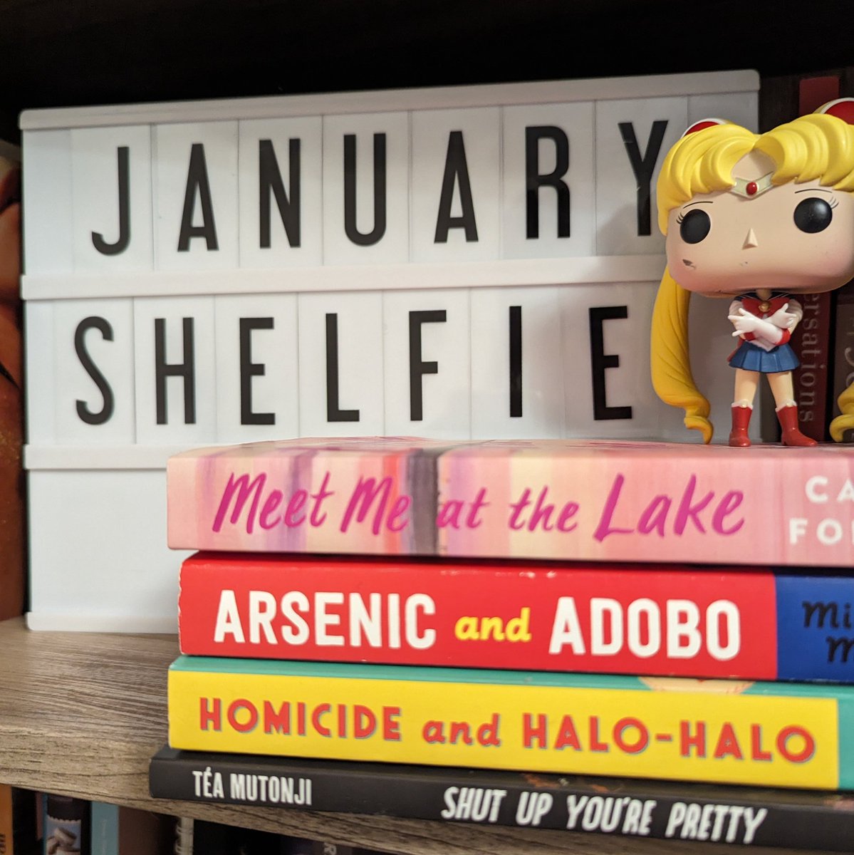 #JanuaryShelfie Month one was good to me. Here's hoping I can continue the momentum. On deck for February, I've got 3 more #CanadaReads finalists &amp; a few ARCs that I'm excited to get into.