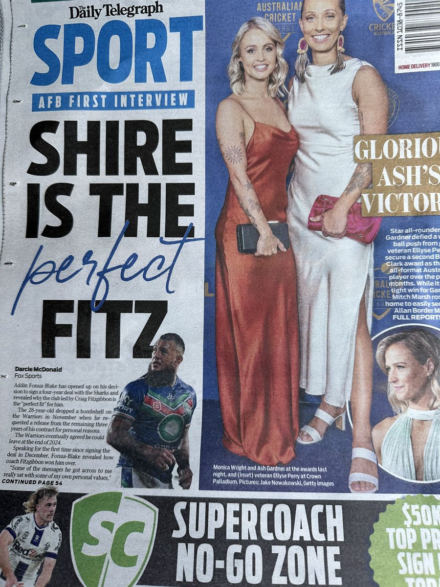 Darcie McDonald tweet media