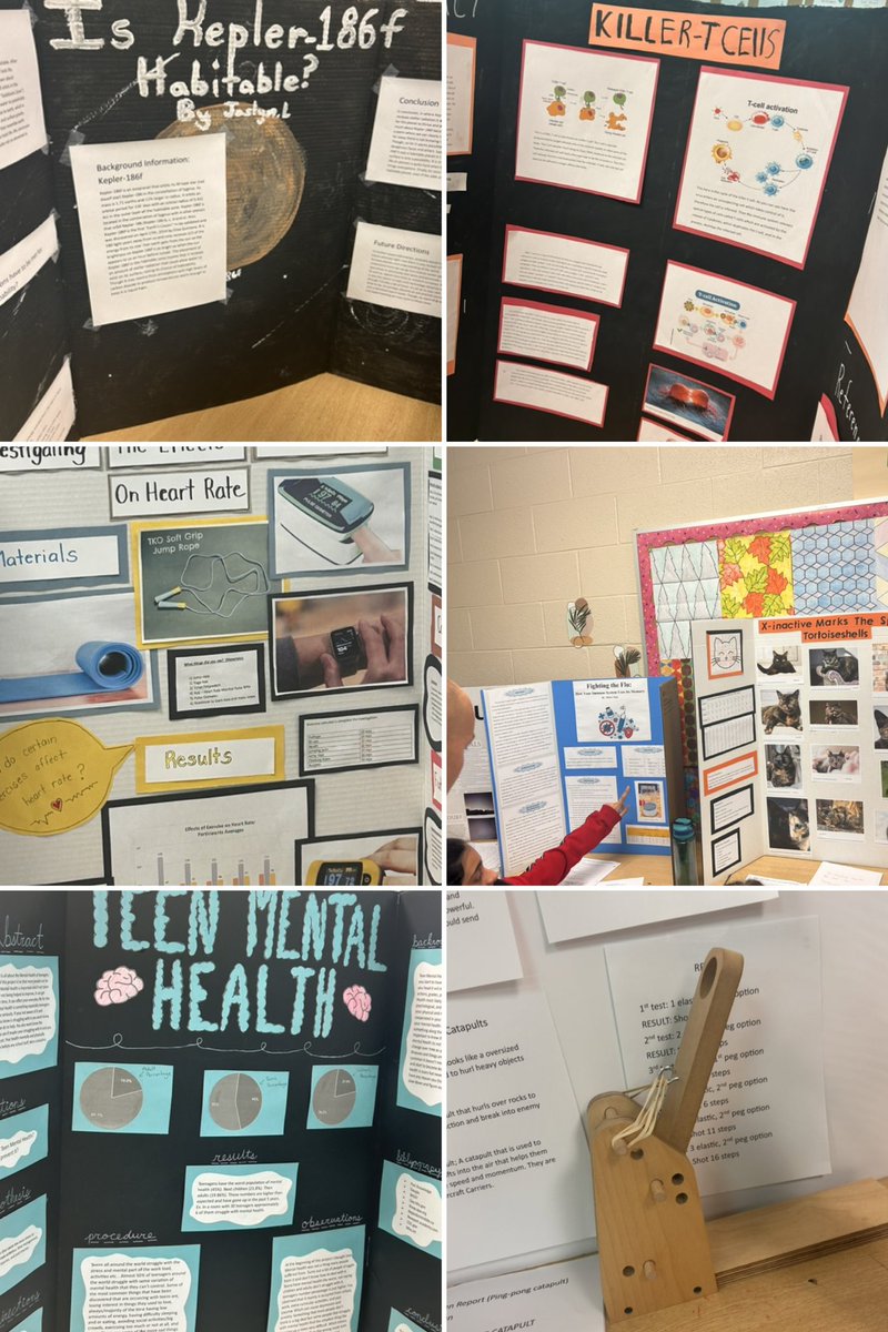 ancastermeadow's tweet photo. I learned so much today from our intermediate students as they showcased their science projects for all students. Our future is in good hands! https://t.co/xm6bo70SDl