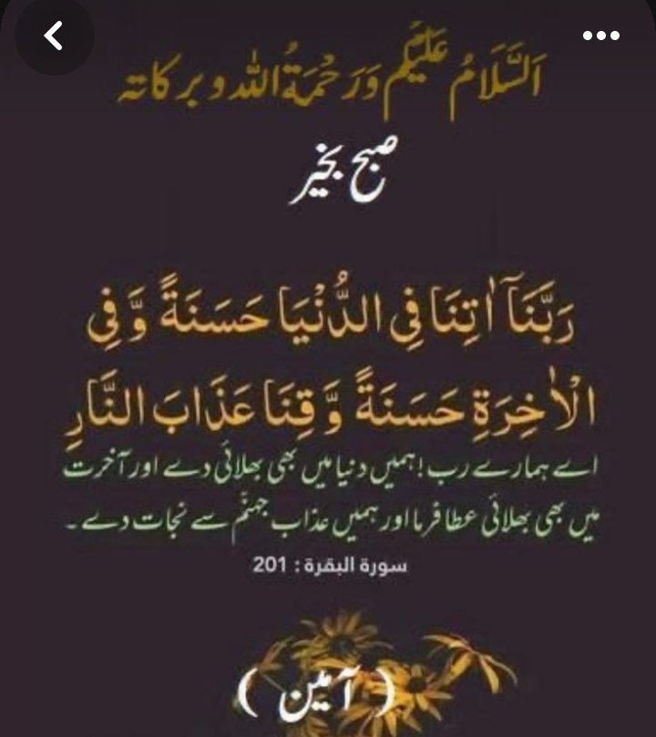 Amna Bajwa (@amnabajwa1124) on Twitter photo 