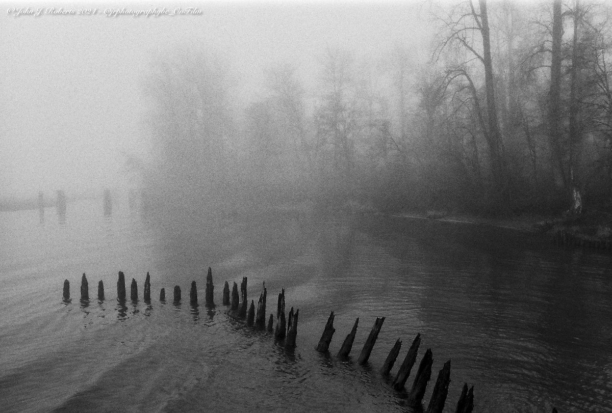 jrphotographybc's tweet photo. Foggy day along the river
Leica R9, 24/2.8 Elmarit-R, with Flic Double-X 

#BelieveInFilm #ShootFilmBeNice #northernfilmcollective #CanadianFilmPhotographers #TsimshianPhotographer #Tsmsyen #LeicaR9 #24mm28 #ElmaritR24mm #FlicFilmDoubleX #FlicFilm #DoubleX #Kodak5222 https://t.co/c3edseoxpz