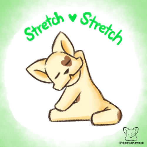 New Year's Resolution 2024: Stretch
新年の目標２０２４：ストレッチ

'Stretch out those muscles~'
「体をほぐして〜」

ー

#yoga #dogs #Yogawan #ヨガ #ヨガわん #fitness #newyearsresolutions #イラスト #selfcare #yogalife #ヨガ好き