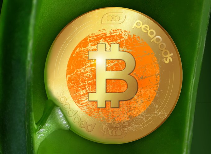 PeapodsFinance's tweet photo. Uncover the power of $pwBTC 👀

💸The perfect yield bearing asset for #BTC HODLers

📈This unique asset increases your $BTC exposure simply by HODLing through market volatility

🫛 You can wrap your BTC to pwBTC here 👇 https://t.co/3zoftDhong

#VolatilityFarming https://t.co/BL0fiiUNKh