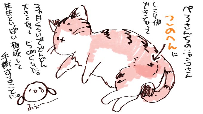 ニャンコさんしこりをとったよ のおはなし
いまにゅーいんちゅーなんだー
はやくむかえにいきたい そわそわ 