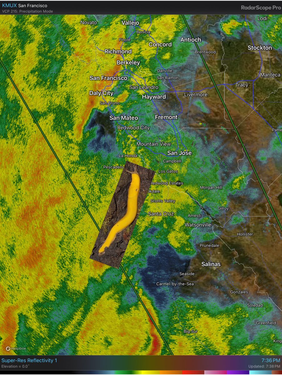 A banana slug warning has been issued for the Santa Cruz mountains…. ( am I the only one that sees slugs when I look at the core segments?)