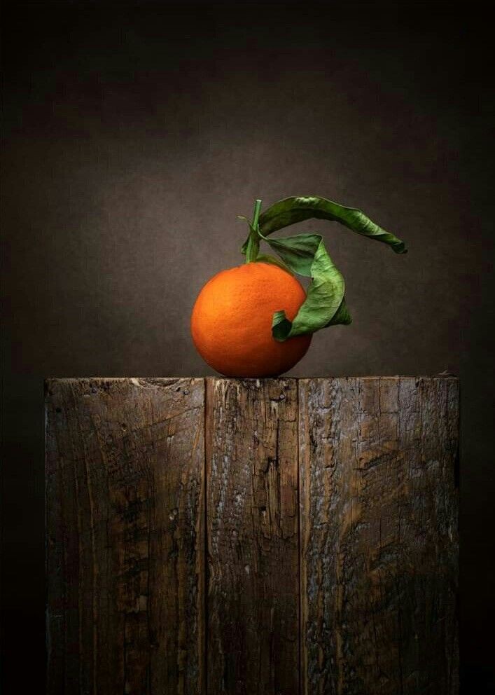 mario andreolini (@marioandreolini) on Twitter photo 