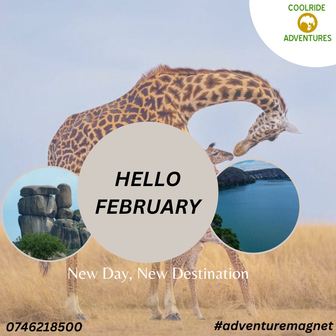 AtiJelly's tweet photo. Wishing you a delightful February filled with joy, love, and exciting adventures. Happy February from Coolride Adventures!
#FebruaryFun
#BlackHistoryMonth
#monthoflove
#SuperBowl
#FebruaryGoals
#NewMonthNewMe
#FebruaryFeels
#WinterWonderland
#FebruaryFaves
#FebruaryInspiration https://t.co/qSaoybdZmv
