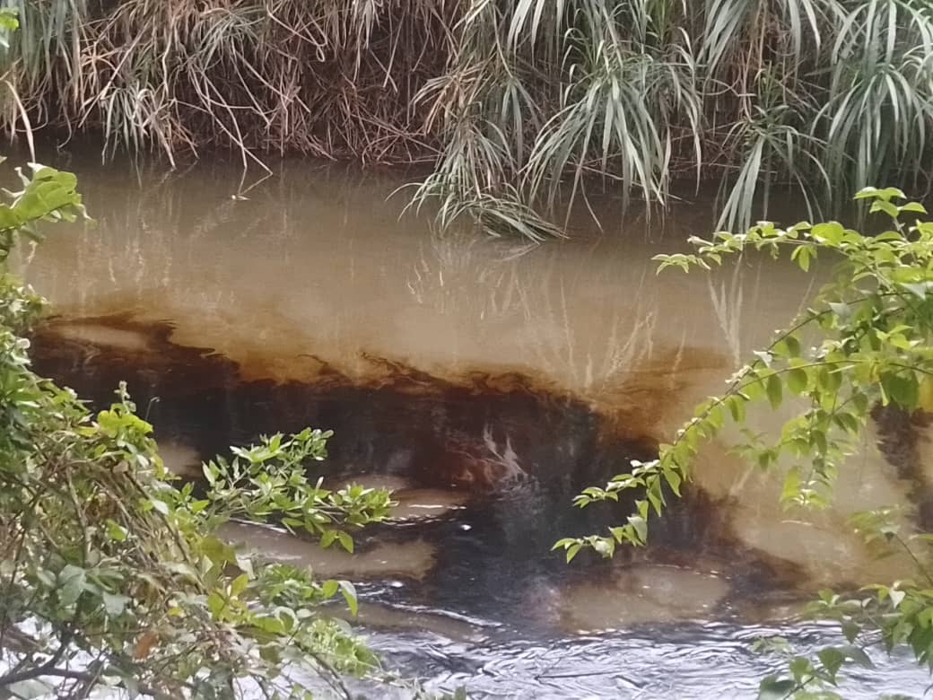 LNaricual's tweet photo. Ya el derrame afectó el Río Neverí,  por su afluente ,el Río Naricual,  y aunq hay comisiones de PDVSA y bomberos trabajando en el lugar , no hay un pronunciamiento oficial al respecto. https://t.co/lhibtVY9C7
