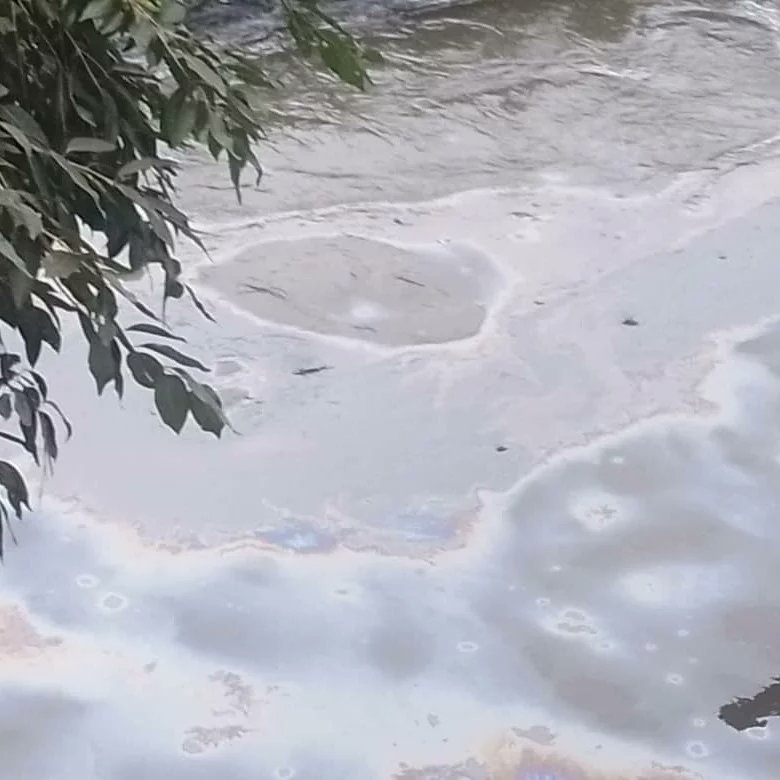 LNaricual's tweet photo. Ya el derrame afectó el Río Neverí,  por su afluente ,el Río Naricual,  y aunq hay comisiones de PDVSA y bomberos trabajando en el lugar , no hay un pronunciamiento oficial al respecto. https://t.co/lhibtVY9C7