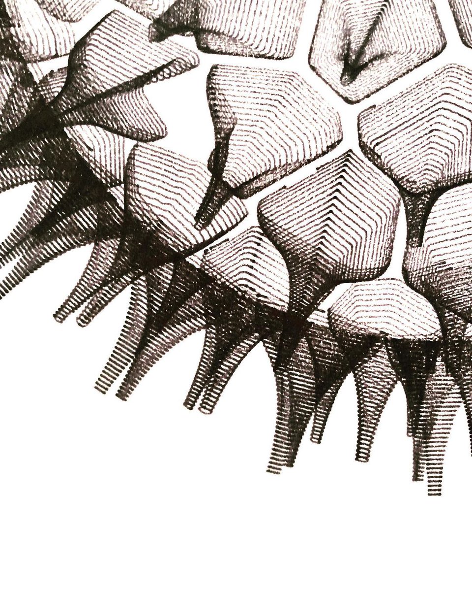 idrawpenplotter's tweet photo. Urchin 2 2023 by @wearelaurdesign
Sphere decorated with tessellating shapes.
Plotted with @idrawpenplotter using @artline_au pigment liners on A3 paper.
#geometry #generativehut https://t.co/B7PhJvn9J9