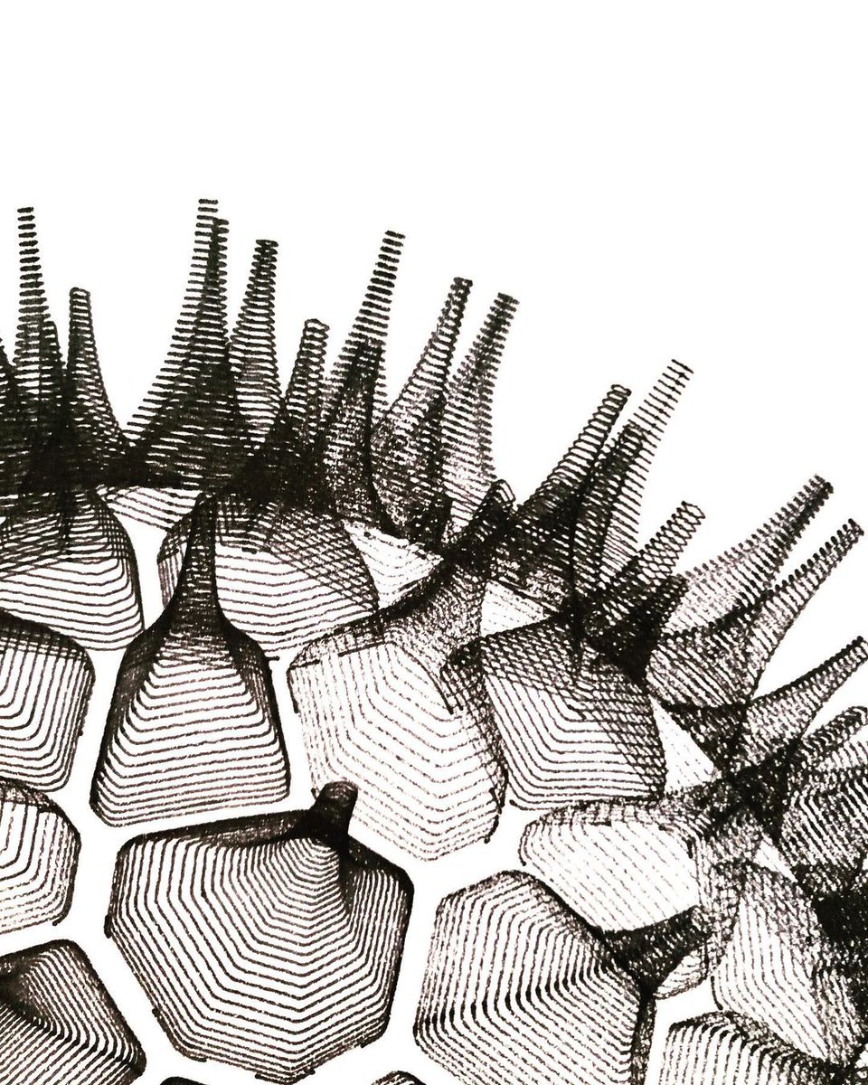 idrawpenplotter's tweet photo. Urchin 2 2023 by @wearelaurdesign
Sphere decorated with tessellating shapes.
Plotted with @idrawpenplotter using @artline_au pigment liners on A3 paper.
#geometry #generativehut https://t.co/B7PhJvn9J9