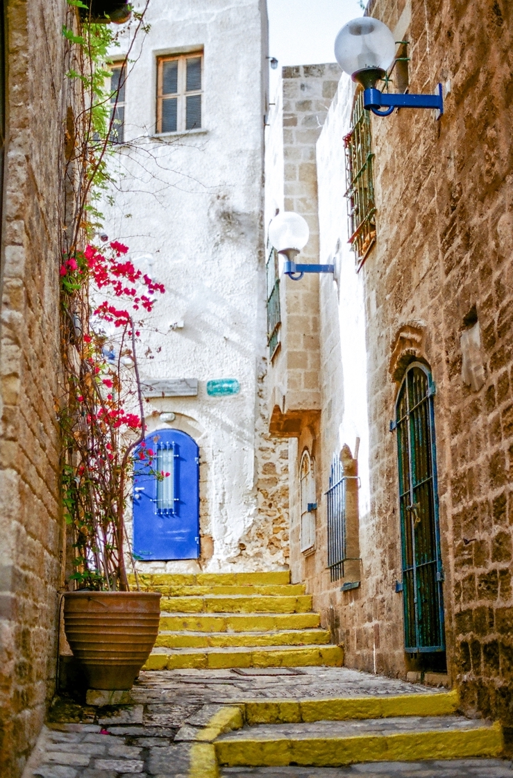 bajanwed's tweet photo. Cobblestone pathways, ancient archways, &amp; the mesmerizing views of the Mediterranean Sea 🌿🤍 Old Jaffa, Israel

https://t.co/tRsl982Ghw

Photography: @annagrinetsphotography

#destinationweddingphotographer #israel #luxurywedding #weddingdecor #israelhoneymoon #bajanwed https://t.co/J9fG5KV1iq