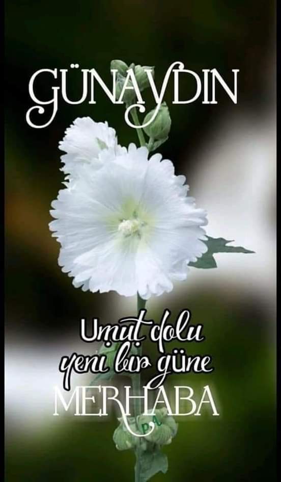 Günaydın müşfik insanlar. 😀🙏♥️🌹💙☕🌿🏞️🌄🌅🌲🖐️💖💝💛🪂🌻💌
#EskiUzmanÇavuşlar
#2000LerYasaBekliyor
#StajSGKBaşlangıcıSayılsın
#130bin
Berna Şaban Depar Sengun