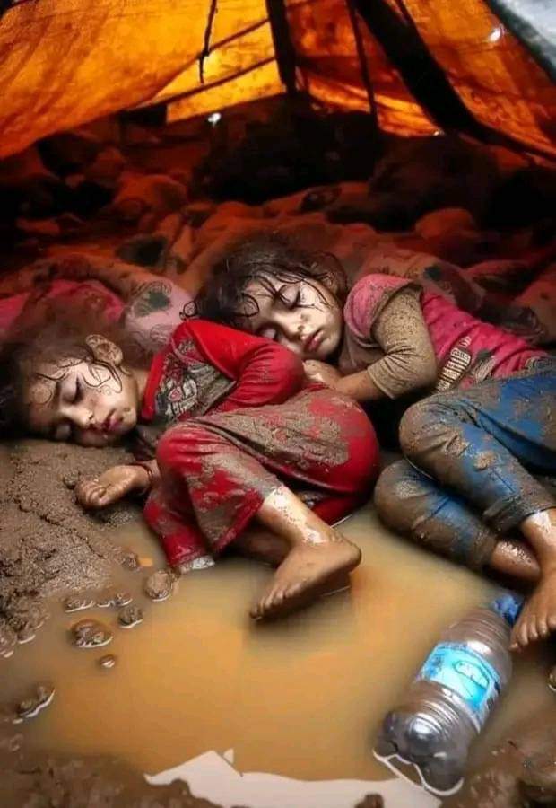 #صباح_الاجواء_الحلوه
يارب إنَّ لنا أهلٌ و أحبةً في غزة في البرد القاسي و بينَ الخِيام الباردة وَ القهر وَ الموت البطيء فَمن لم يمت شهيداً ماتَ برداً و قهراً ؛اللهم كنُّ عوناً لهم.