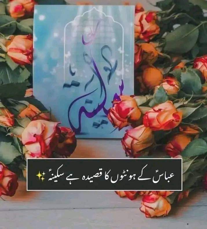 Imam_E_Zamana's tweet photo. میدانِ کربلا  تو اصغرؑ نے جیتا تھا
میدانِ شام جیت گئی بیٹی حسینؑ کی

سلام یاتسکینِ قلبِ حسین علیہ السّلام
20 رجب ظہورِ ُپرنور سیّدہ بی بی رقیہ سکینہؐ بنت الحسینؑ https://t.co/m4wkPW1VoT