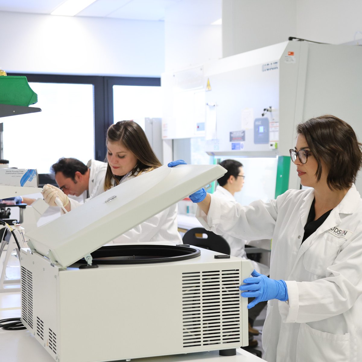 Hudson Institute of Medical Research tweet media