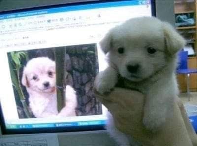ตัวนี้ จ๋อง