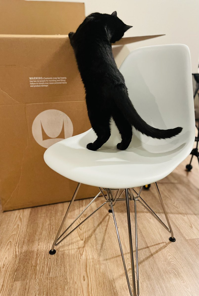 kuchanj's tweet photo. 待ちに待ったイームズサイドシェルチェアが届いた☺️色はグレー🩶グリーンでカラーは素材自体に練り込んでいる。ワイヤーベース / トリバレントクローム脚は頑丈で軽い!
#HermanMiller #DesignWithinReach #Eames https://t.co/W6JYSVIzfp