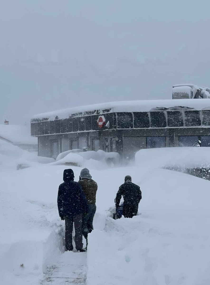 Brøyte deg inn i arbeidslivet eller finne veien inn selv? Sjekk våre ledige stillinger for deg som har slutta med rus og er klar for å jobbe 😃 medarbeiderne.no/jobb/