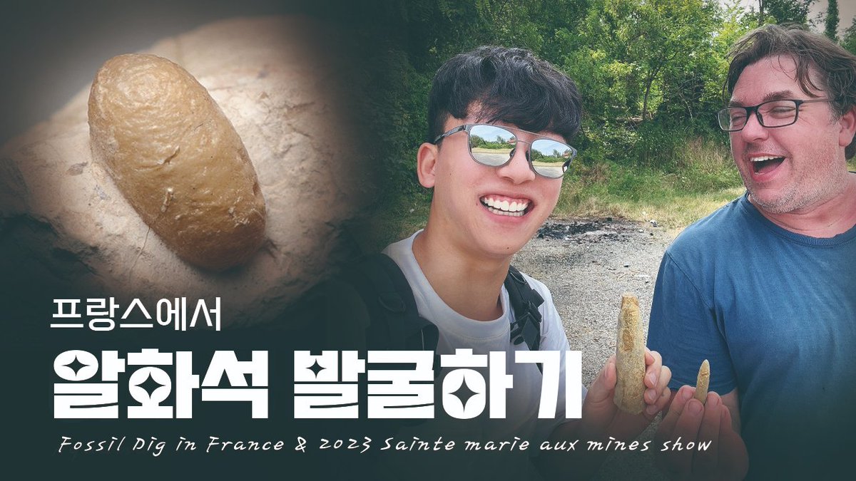 fossilmormotekr's tweet photo. 프랑스 알자스에서 만난 4천만년전의 알화석 발굴하기
https://t.co/zIWhRPykke
#saintemarieauxmines #mineralshow #fossil #rupeus #화석발굴 #루페우스 https://t.co/6frbfzQ66T