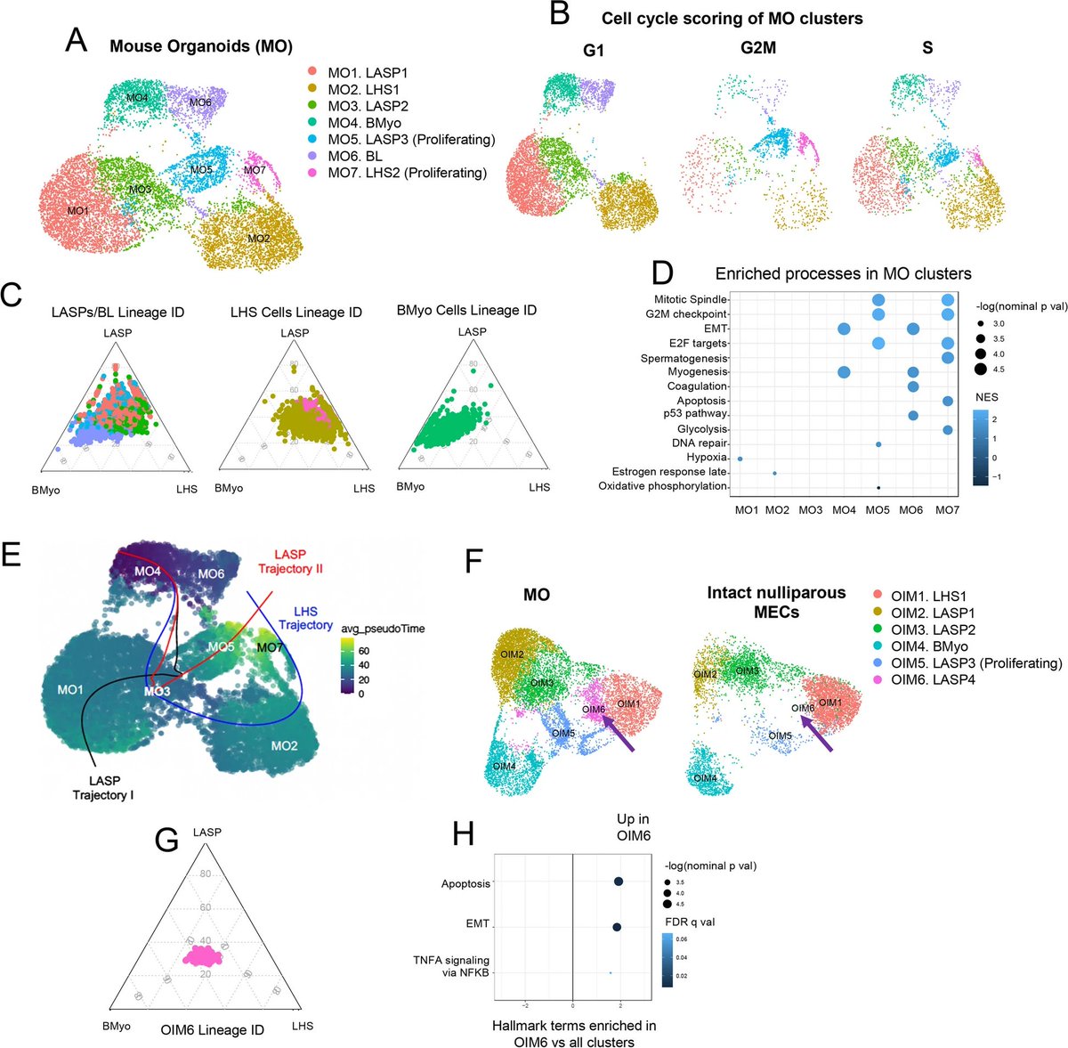 Journal of Mammary Gland Biology and Neoplasia (@mammary_journal) on Twitter photo The latest publication by <a href="/jene_ro/">Jenelys Ruiz Ortiz, PhD</a> from <a href="/caoresco/">Camila dos Santos</a> team provides a window into the effects of puberty and pregnancy-associated hormones on #mammarygland #epithelial dynamics using #scRNAsequencing and #organoids.
link.springer.com/article/10.100… The latest publication by <a href="/jene_ro/">Jenelys Ruiz Ortiz, PhD</a> from <a href="/caoresco/">Camila dos Santos</a> team provides a window into the effects of puberty and pregnancy-associated hormones on #mammarygland #epithelial dynamics using #scRNAsequencing and #organoids.
link.springer.com/article/10.100…