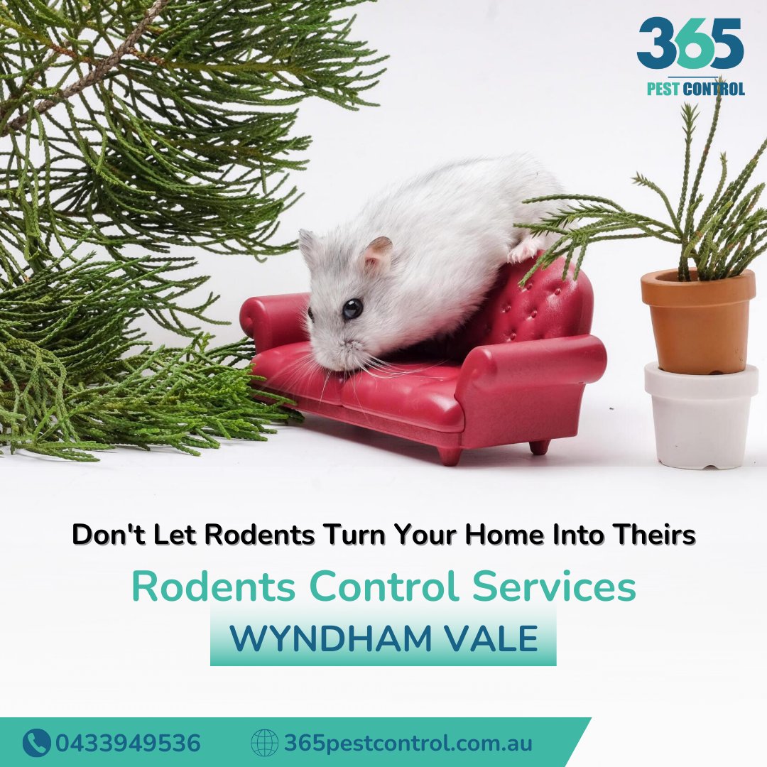 Don't let rodents turn your home into theirs

Book your Rodent Pest Control Services on 365 pest control in Wyndham Vale

Call us today @ 0433949536

Visit us: 365pestcontrol.com.au/pest-control-w…

#pestcontrol #pestcontrolservice #pest #pets #pestmanagement #rodentcontrol #ratcontrolservices