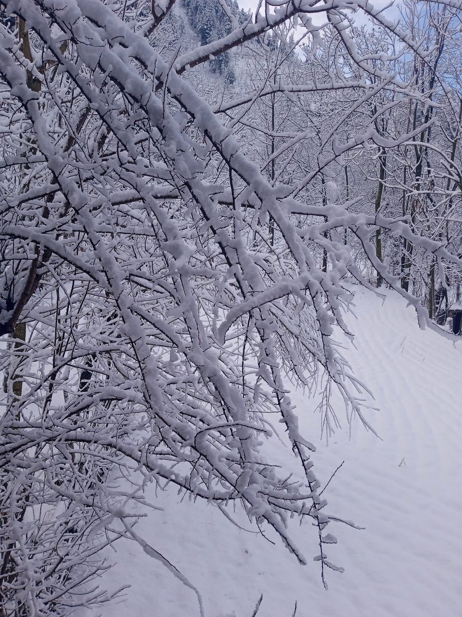 AsjidMagry's tweet photo. #snowfall #coldwinter #karnah https://t.co/64KNgN5AN8