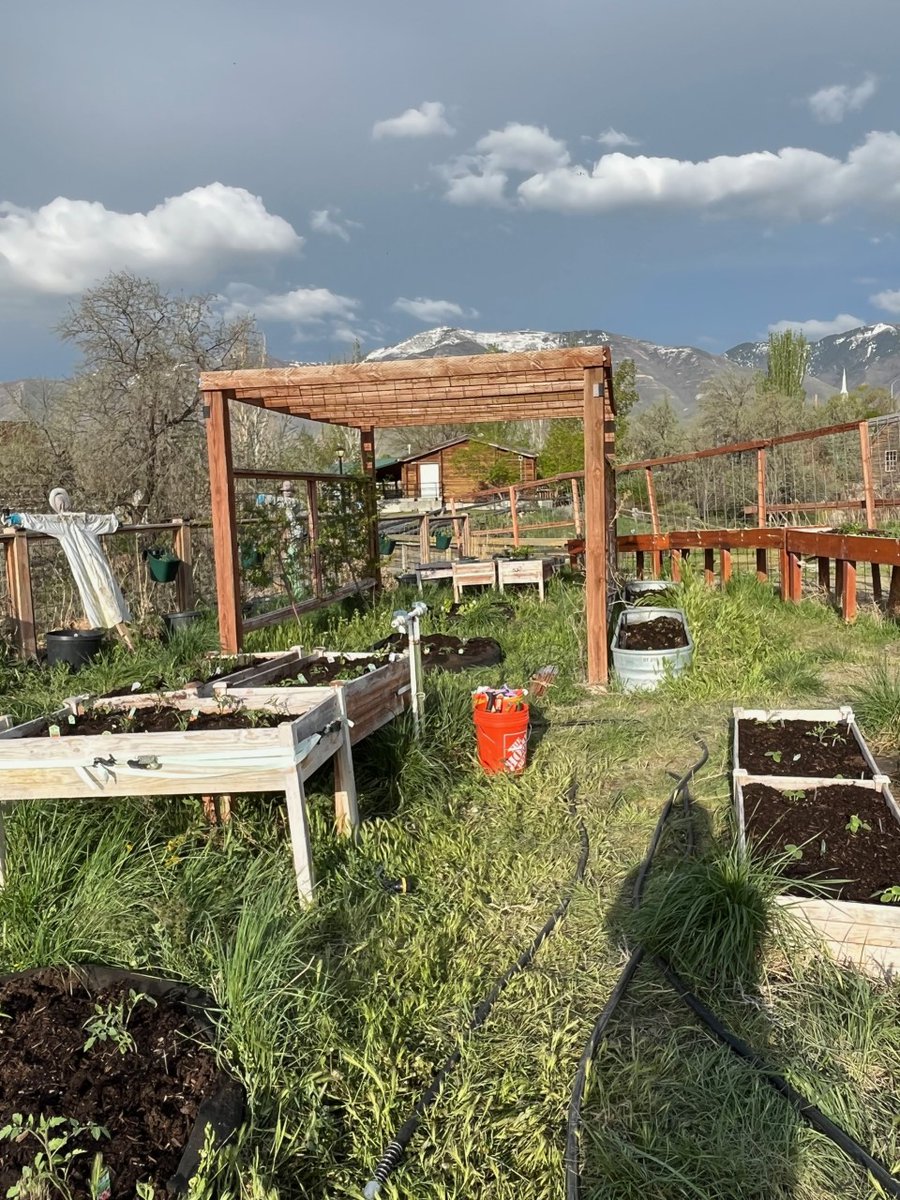 CBHUtah's tweet photo. Ambassadors in Action!

We're reminiscing on summer as we admire the community garden in Tooele County from 2023!

#ambassadorsinaction #createbetterhealth #createhealthygardens https://t.co/MWup3dJZsZ