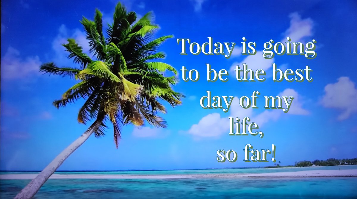 Bille Baty tweet media