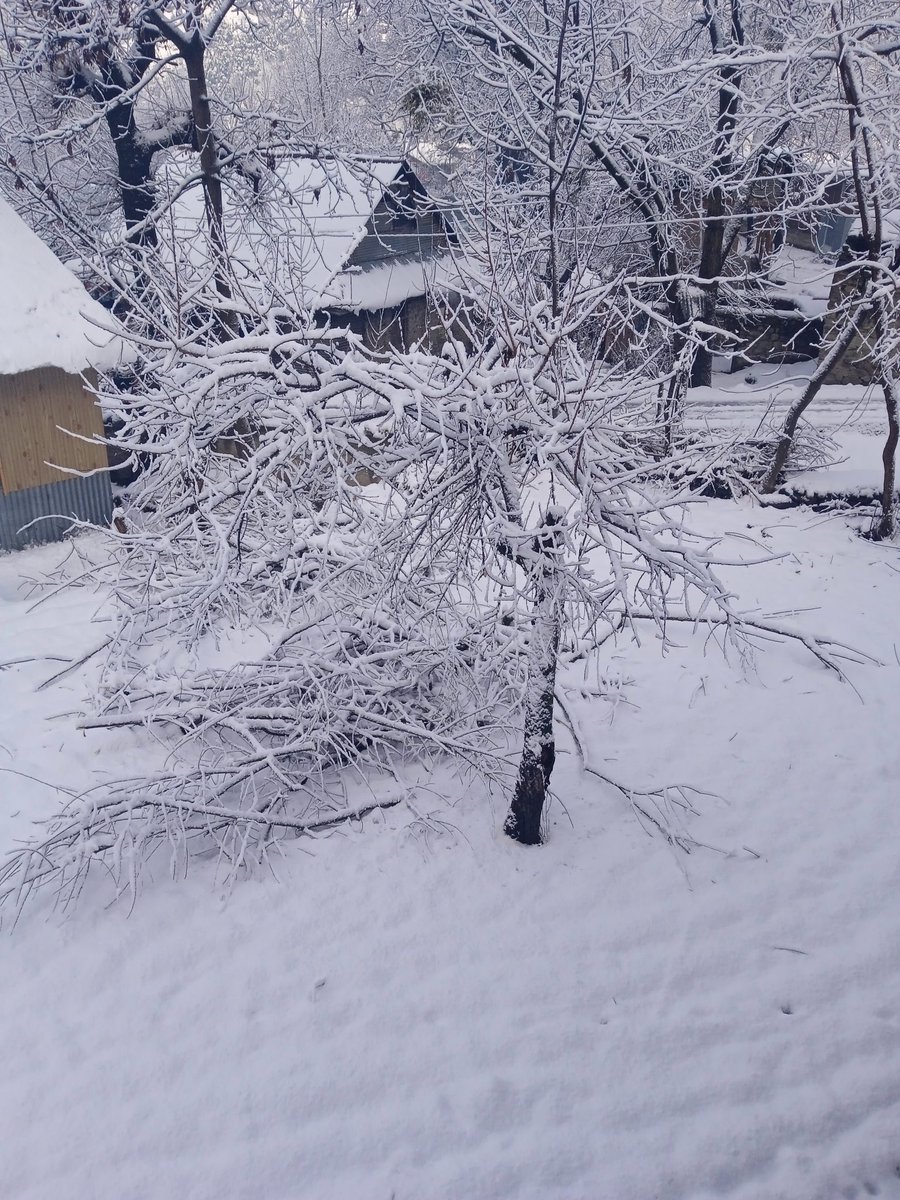 AsjidMagry's tweet photo. #snowfall #coldwinter #karnah https://t.co/64KNgN5AN8