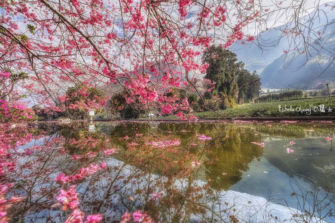 Like before, I still want to visit Xinyi Township this year🥺🥺