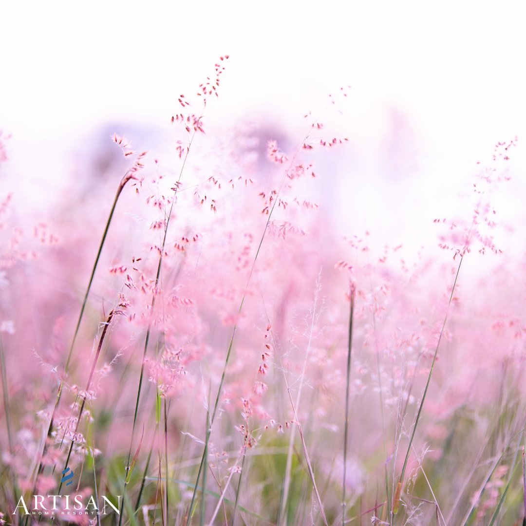 Happy Valentine's Day! <3