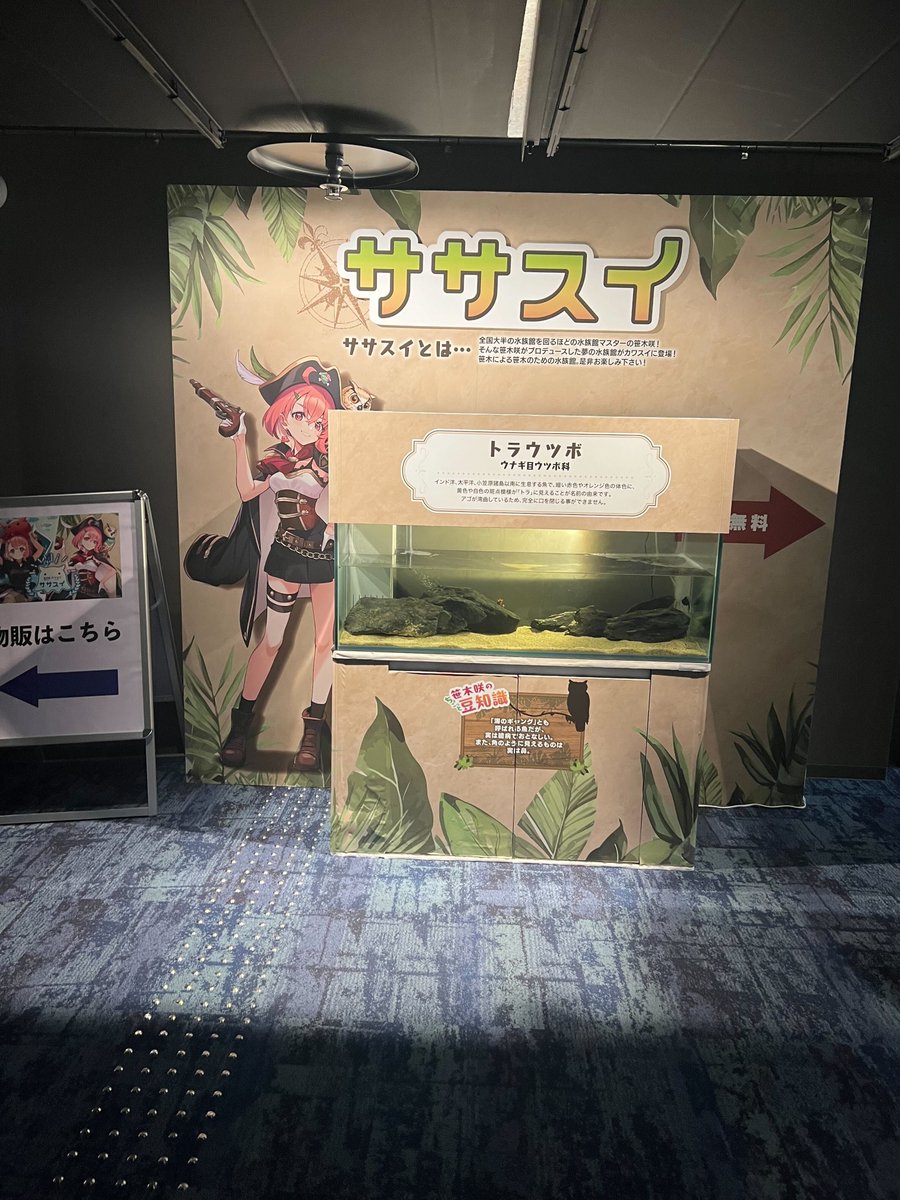 kawasui_aqua's tweet photo. #笹木咲× #カワスイ

📢#ササスイ 水槽紹介🐟

笹木咲が厳選したお魚を展示した水槽や、
「EXゲーマーズ」のメンバーをイメージした水槽を展示🎮
7人全員の水槽が並んでいる風景は圧巻です👊
是非見に来てください🐼 https://t.co/Dt2r0CsgAb