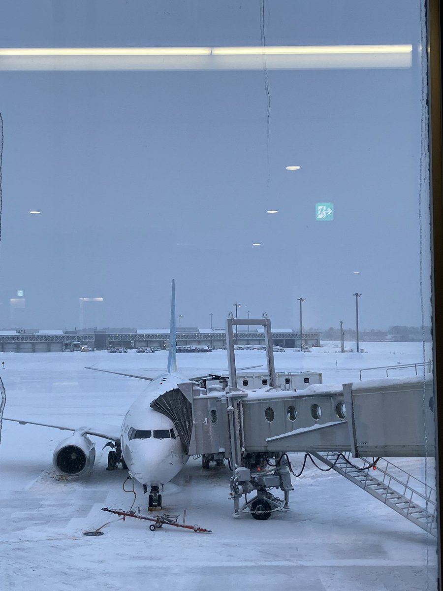 totomitan's tweet photo. こんなとこからこんなところへ✈️ https://t.co/4H2AcXteXO