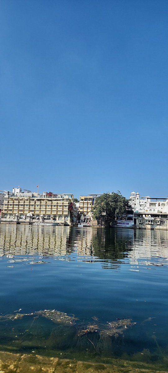 abhishek_ux's tweet photo. Udaipur ❤️ https://t.co/037Z3nGTj5