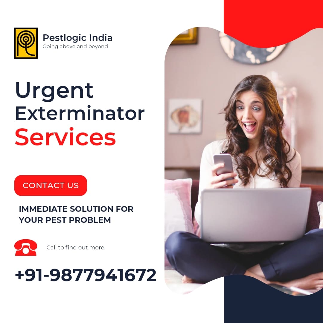 PestlogicI's tweet photo. @pestlogici 

#pestcontrol #pestlogicindia #ibes #MAFS #kohlantarp https://t.co/qrmxfTSrzY