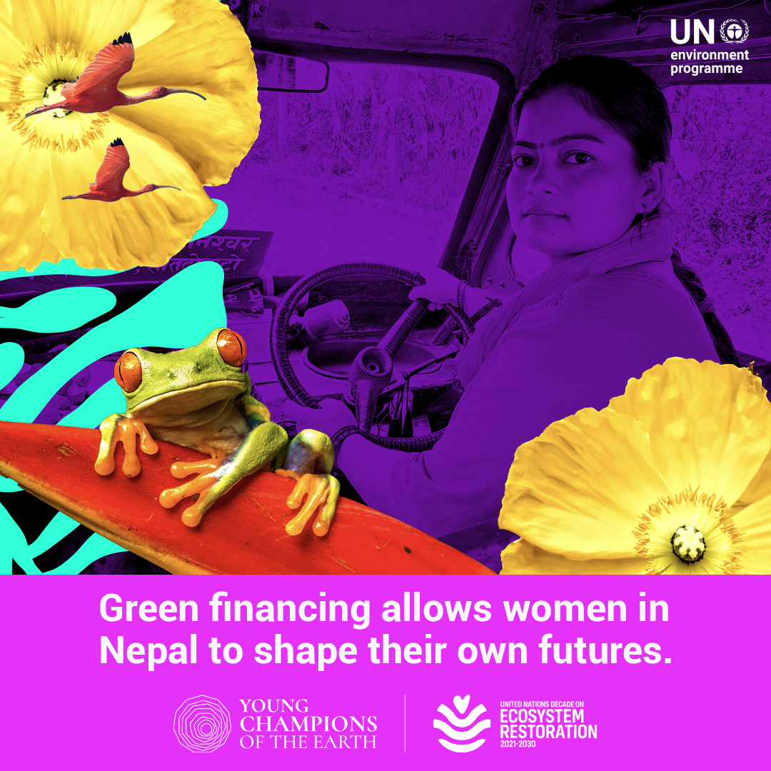 Meet Sonika Manandhar, a UNEP's former #YoungChamps winner. Her green finance initiative is empowering women & tackling environmental issues in Nepal.

Ready to make an impact like her? Watch for Young Champions of the Earth applications opening at #UNEA6: unep.org/news-and-stori…