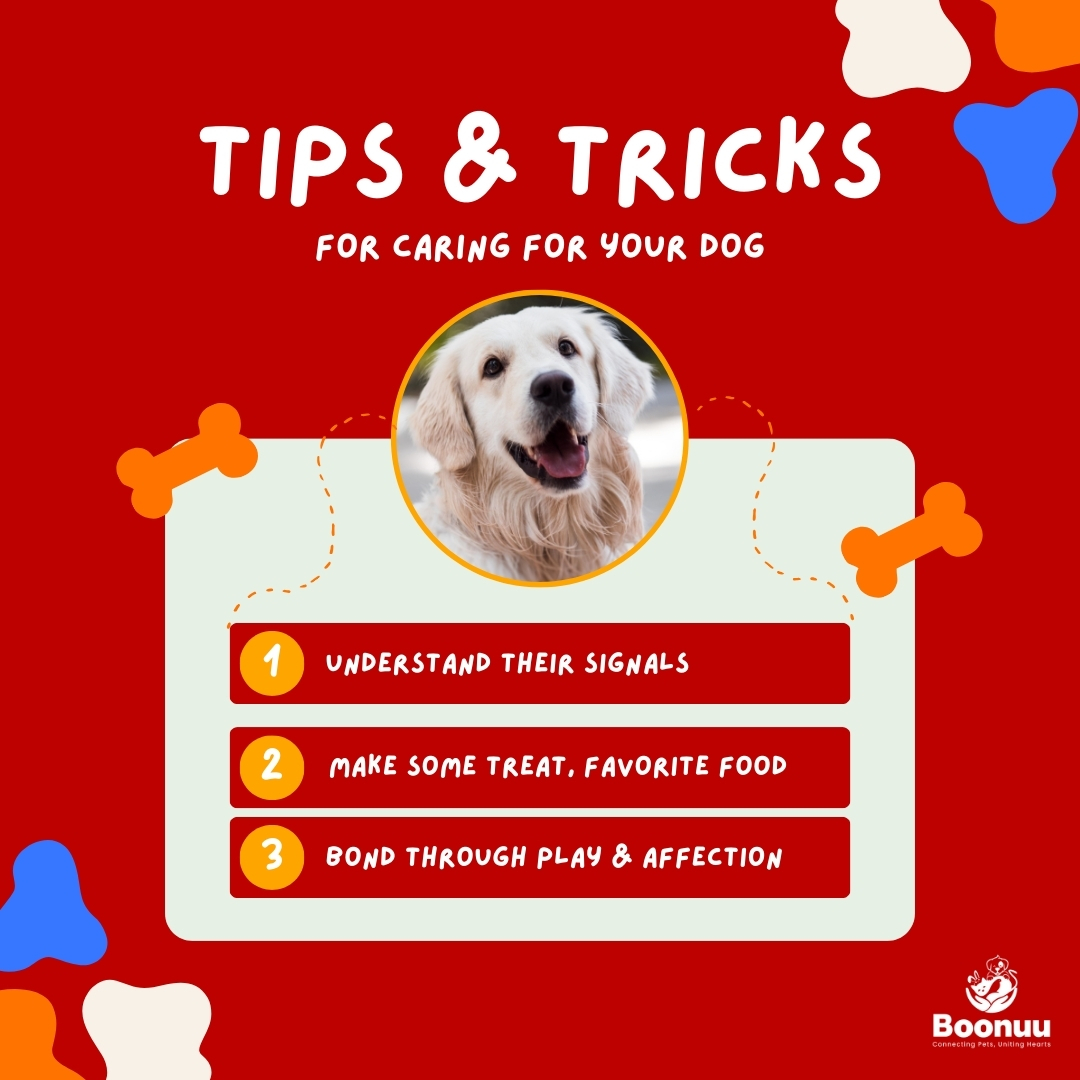 Boonuuofficial's tweet photo. Sharing with you all some top tips and tricks for ensuring your dog's well-being and happiness.
From healthy treats to paw-some playtime ideas, we've got your pal covered! ππ
Visit - https://t.co/yQ7SIskYJu
#doglovers #doganatomy #appcomingsoon #boonuu #petcarejoy #petapp https://t.co/tdu1fGTNYc