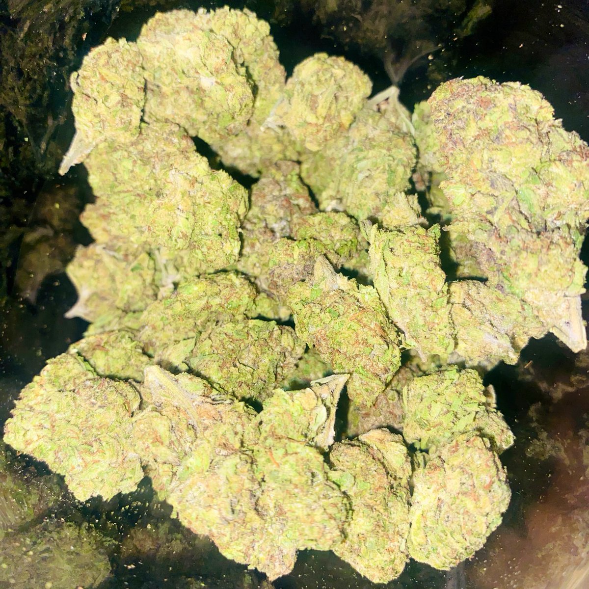 ZaddyMack's tweet photo. Who need some pack? 💪🏿⛽️ #LEMONCHERRYGELATO #ZAZA #TOPSHELF #EXOTIC #RAPPERWEED #757FREAKS https://t.co/6x8jqv2GUS