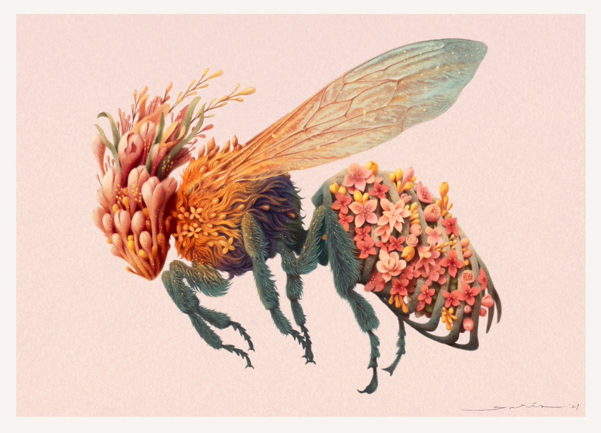 Garis Edelweiss tweet media