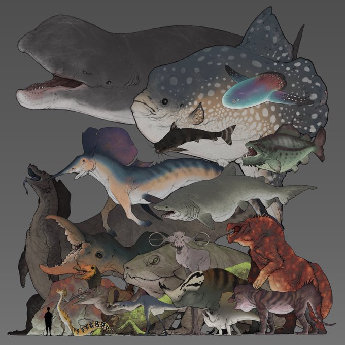 「animal shark」 illustration images(Latest)
